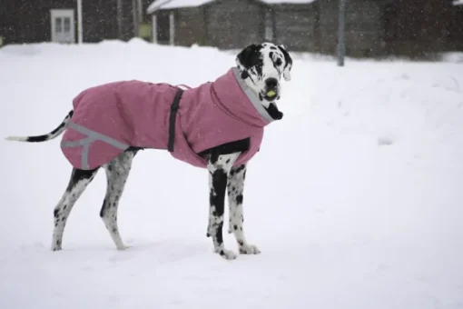 Kivalo Luosto Dog Winter Jacket koiran talvitakki, 40 cm, pinkki New