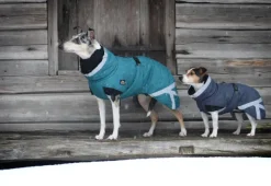 Luosto Dog Winter Jacket koiran talvitakki, 55 cm, petrooli-Kivalo Sale