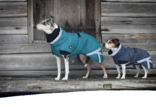 Luosto Dog Winter Jacket koiran talvitakki, 55 cm, petrooli-Kivalo Sale