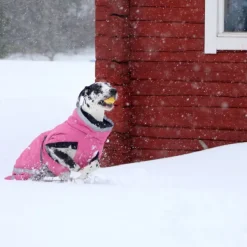 Kivalo Luosto Dog Winter Jacket koiran talvitakki, 40 cm, pinkki New