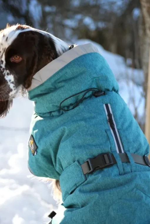 Luosto Dog Winter Jacket koiran talvitakki, 55 cm, petrooli-Kivalo Sale