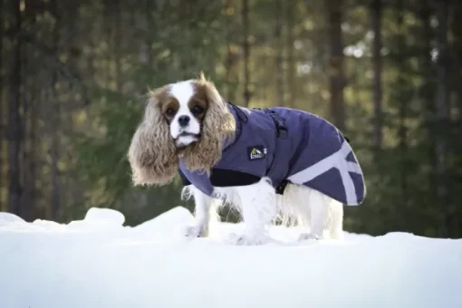 Luosto Dog Winter Jacket koiran talvitakki, 45 cm, harmaa-Kivalo Hot