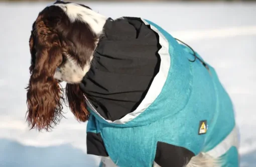 Luosto Dog Winter Jacket koiran talvitakki, 55 cm, petrooli-Kivalo Sale