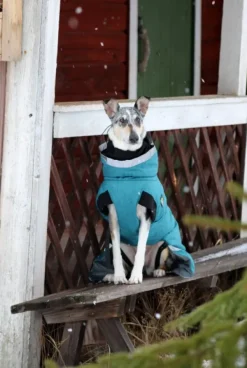 Luosto Dog Winter Jacket koiran talvitakki, 55 cm, petrooli-Kivalo Sale