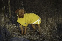 Kivalo Niva Dog Raincoat koiran sadetakki, 35 cm, keltainen New