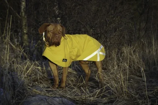 Kivalo Niva Dog Raincoat koiran sadetakki, 35 cm, keltainen New