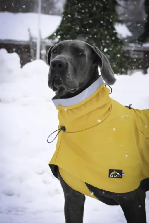 Kivalo Niva Dog Raincoat koiran sadetakki, 35 cm, keltainen New