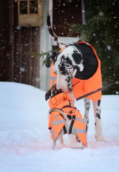 Ohto Dog Wind Jacket koiran tuulitakki, 50 cm, oranssi-Kivalo Online