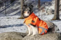 Ohto Dog Wind Jacket koiran tuulitakki, 50 cm, oranssi-Kivalo Online