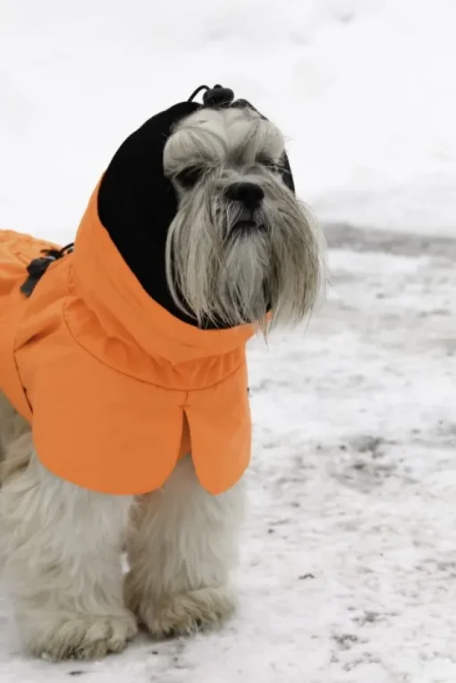 Ohto Dog Wind Jacket koiran tuulitakki, 50 cm, oranssi-Kivalo Online