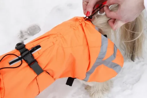 Ohto Dog Wind Jacket koiran tuulitakki, 50 cm, oranssi-Kivalo Online