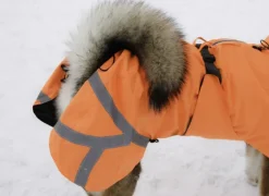 Ohto Dog Wind Jacket koiran tuulitakki, 50 cm, oranssi-Kivalo Online