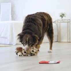Comfort Pups Spot M-Kong Outlet