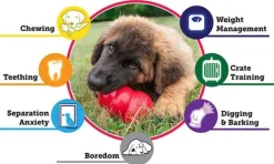 Puppy koiranpennun lelu, S, Mix-Kong Clearance