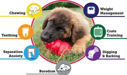 Puppy koiranpennun lelu, S, Mix-Kong Clearance