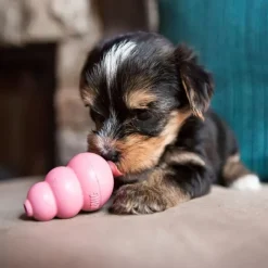 Puppy koiranpennun lelu, S, Mix-Kong Clearance