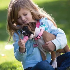 Kong Puppy koiranpennun lelu, M, Mix New
