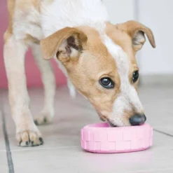 Puppy Tyres purulelu pennuille, M/L-Kong Clearance