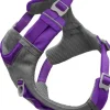 Journey Air Harness koirien valjaat, Purple-Kurgo Sale