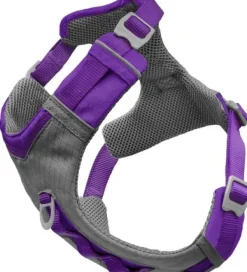 Journey Air Harness koirien valjaat, Purple-Kurgo Sale