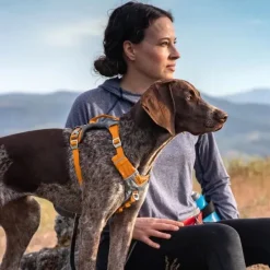 Kurgo Journey Air Harness koirien valjaat, Orange Hot