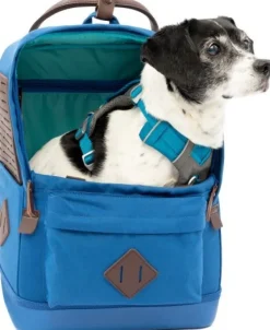 Nomad Carrier Backpack kantolaukku, Blue-Kurgo Best