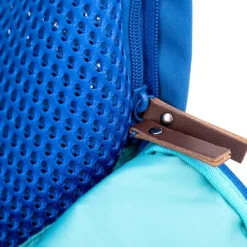 Nomad Carrier Backpack kantolaukku, Blue-Kurgo Best