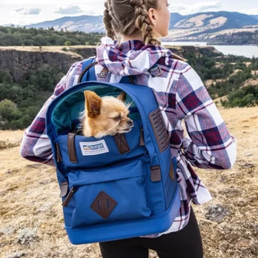 Nomad Carrier Backpack kantolaukku, Blue-Kurgo Best