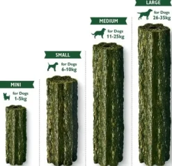 Lily's Kitchen Woofbrush Dental Care Large Multipack hammashoitoherkku, 7 x 47 g-Lilyu0027s Kitchen Outlet