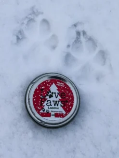 Winter Edition tassuvaha, 40 ml-LovePaws New