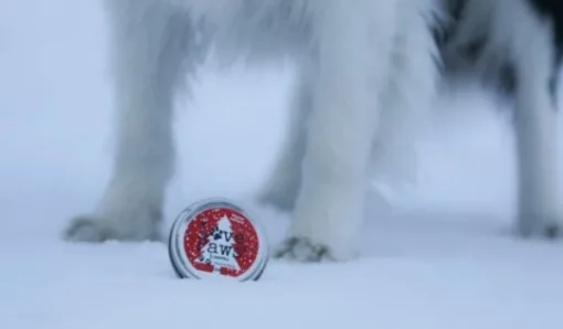 Winter Edition tassuvaha, 40 ml-LovePaws New