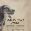 Magnusson Petfood Magnussons Junior 4,5 kg Fashion