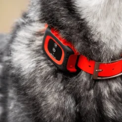 MiniFinder Collar kaulapanta, Red New
