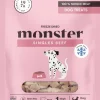Dog Treats Freeze Dried Beef pakastekuivattuja makupaloja nauta 45 g-Monster Fashion