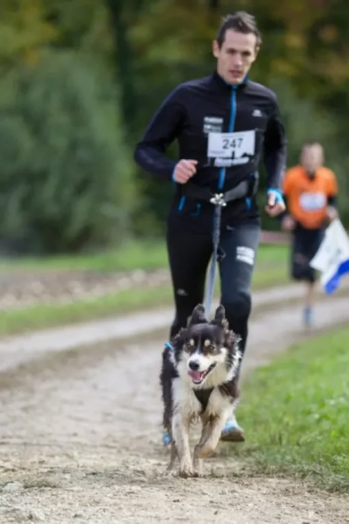 Neewa joustohihna 1,5m Best