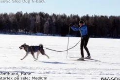 Sled dog X-back -vetovaljaat keltainen-Neewa Best