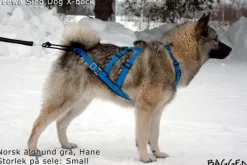 Sled dog X-back -vetovaljaat keltainen-Neewa Best