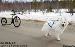 Sled Pro vetovaljaat, sininen-Neewa Hot