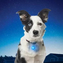 SpotLit Collar Light White-Nite Ize Discount