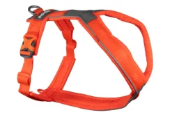 Non-Stop Dogwear Line Harness 5.0, oranssi Online