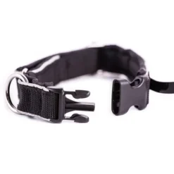 Non-Stop Dogwear Polar klick panta Best