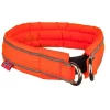 Safe Collar -panta-Non-Stop Dogwear Outlet