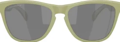 Oakley Frogskins Matte Fern Prizm Black Polarized Best