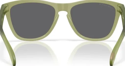 Oakley Frogskins Matte Fern Prizm Black Polarized Best