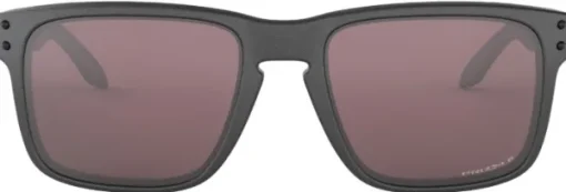 Oakley Holbrook Steel Prizm Daily Polarized Outlet