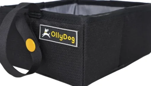 Crumple Travel Bowl Raven-OllyDog Hot