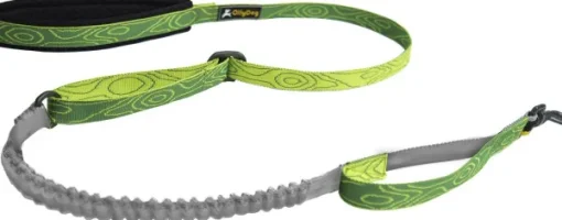 Flagstaff Adjustable Spring Leash Sage Bark-OllyDog Outlet