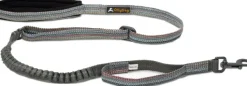 Flagstaff Adjustable Spring Leash säädettävä talutin, värikäs-OllyDog Sale