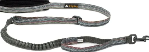 Flagstaff Adjustable Spring Leash säädettävä talutin, värikäs-OllyDog Sale