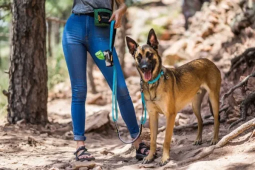 Flagstaff Adjustable Spring Leash Sage Bark-OllyDog Outlet